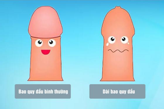 1758618469479568.jpg dai-bao-quy-dau-6.jpg