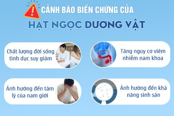 1758783851183825.jpg hat-ngoc-duong-vat-o-nam-3.jpg