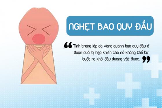 1758942047578229.jpg nghet-bao-quy-dau-o-nam-gioi-1.jpg