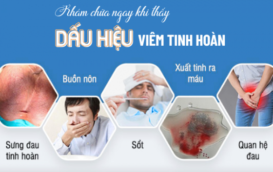 1759291130156236.png viêm tinh hoàn (1).png