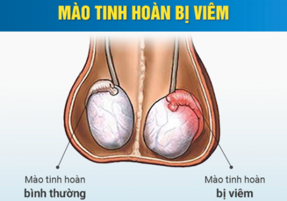 chua-benh-hieu-qua (11).png