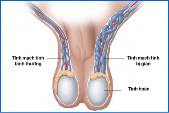 chua-benh-hieu-qua (10).png